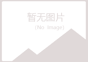 小河区冰夏舞蹈有限公司